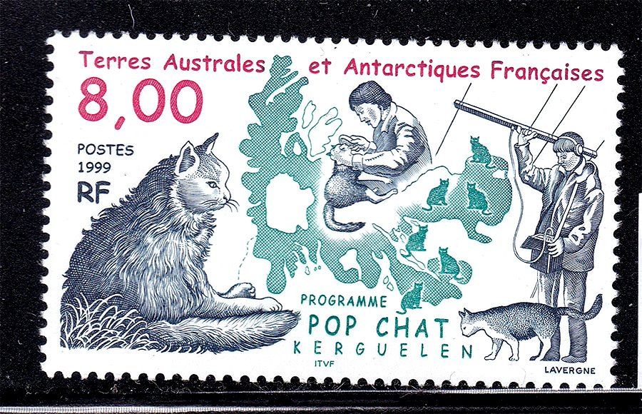 Фауна ТААФ / TAAF 1999 г MNH - кошка - фото фото фото 0