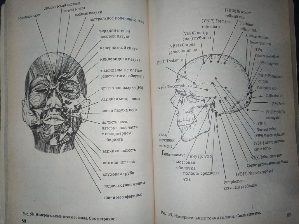 книга: ЭЛЕКТРОПУНКТУРНАЯ ДИАГНОСТИКА, ГОМЕОТЕРАПИЯ И ФЕНОМЕН ДАЛЬНОДЕЙСТВИЯ 1990г. - фото фото фото 6