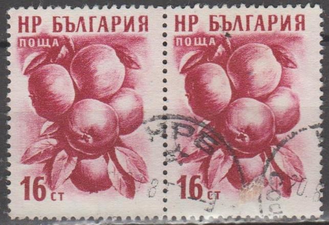 Болгария Болгарія 1956 флора фрукты пара - фото фото фото 0
