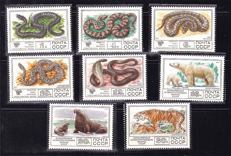 СССР  1977 г  MNH - фауна - фото фото фото 0