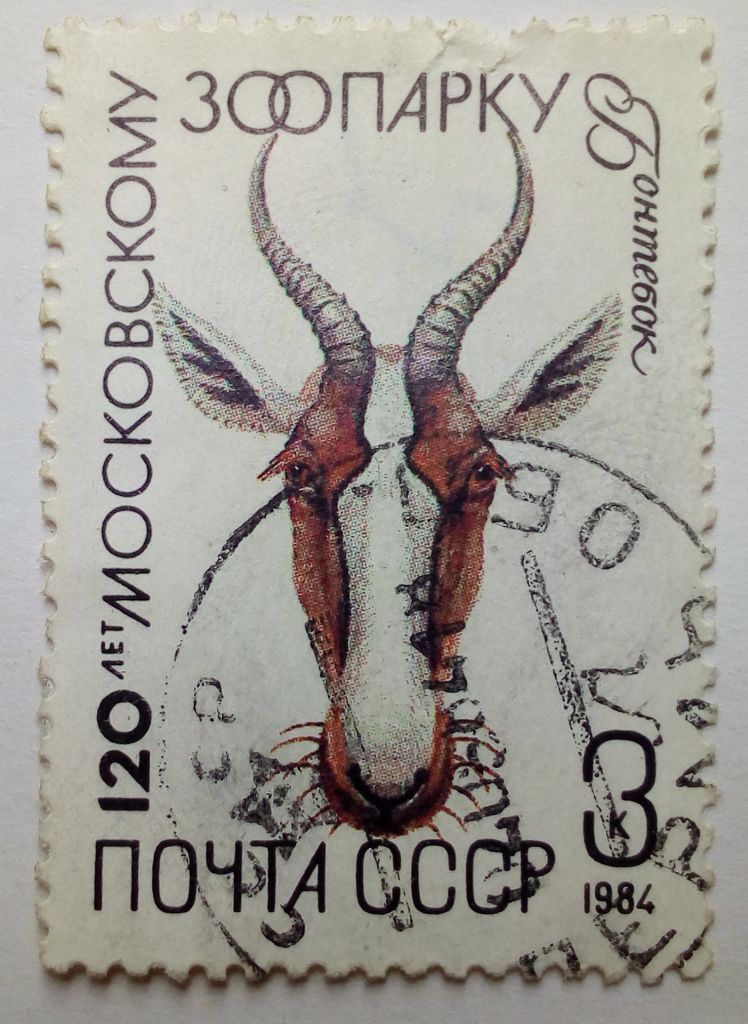 СССР 1984 Московский зоопарк, бонтебок, гашеная - фото фото фото 0