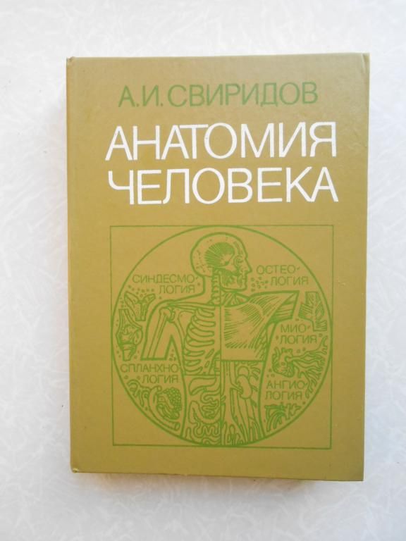 Свиридов А. И. Анатомия человека. - фото фото фото 0