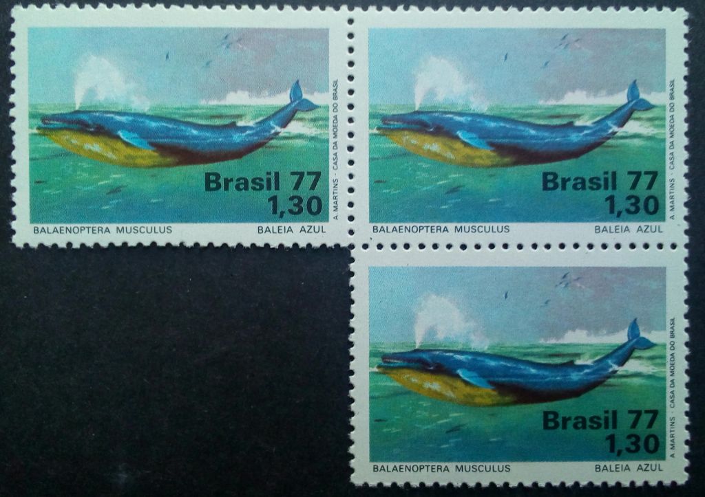 Бразилия 1977 Фауна, кит, MNH  (КЦ=18 евро) - фото фото фото 0