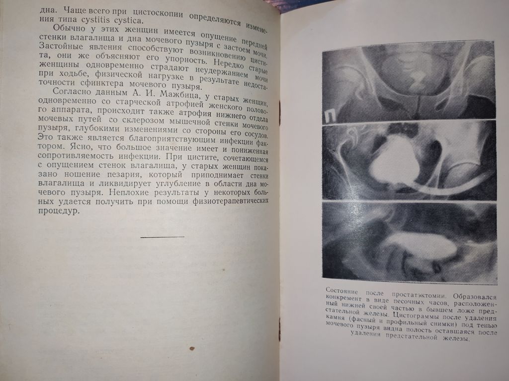 книга: ЦИСТИТЫ 1958г. - фото фото фото 3