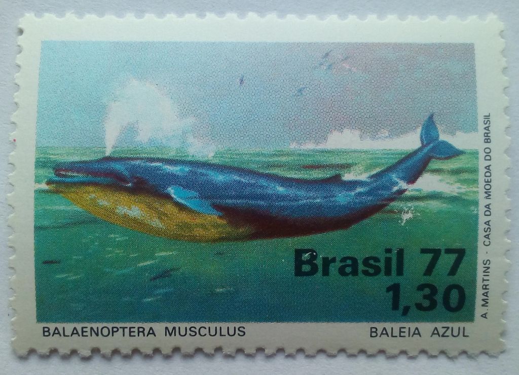 Бразилия 1977 Фауна, кит, MNH  (КЦ=5 евро) - фото фото фото 0