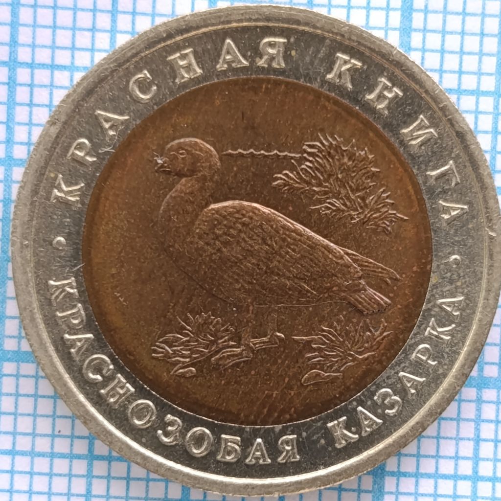 красная книга КРАСНОЗОБАЯ КАЗАРКА - фото фото фото 0