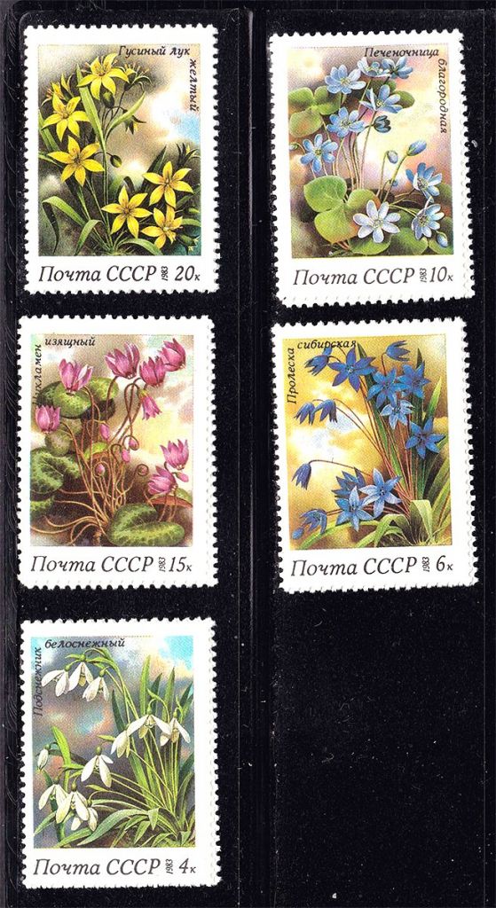 СССР 1983 г   MNH - флора - фото фото фото 0