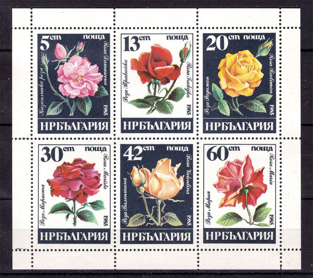 Флора . Болгаоия 1985 г MNH - розы - к/б - - фото фото фото 0