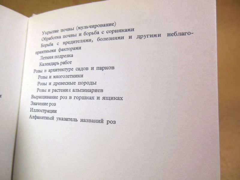 Людвик Вечержа. Розы - фото фото фото 3