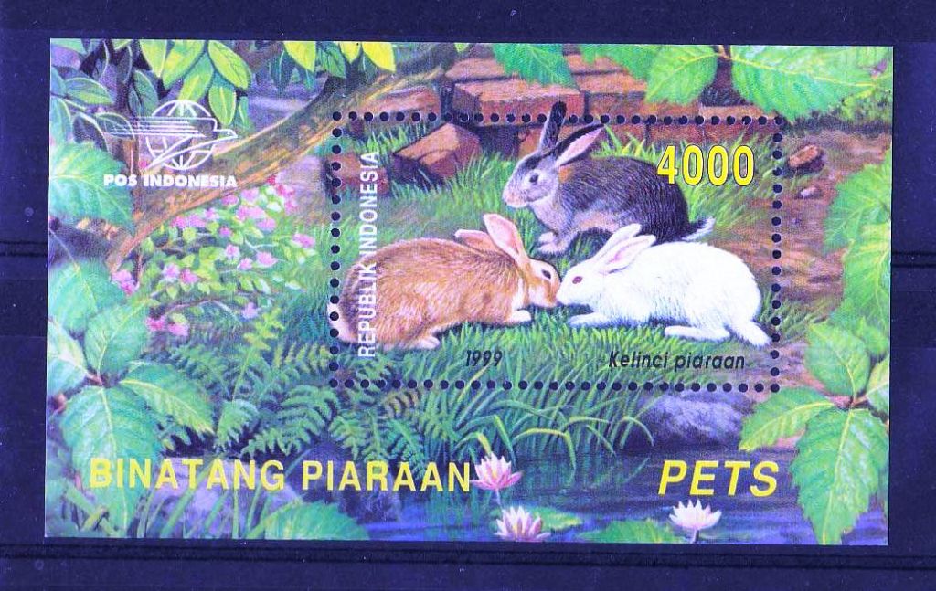 Фауна .  Индонезия 1999 г MNH  - блок - кролики - флора - фото фото фото 0