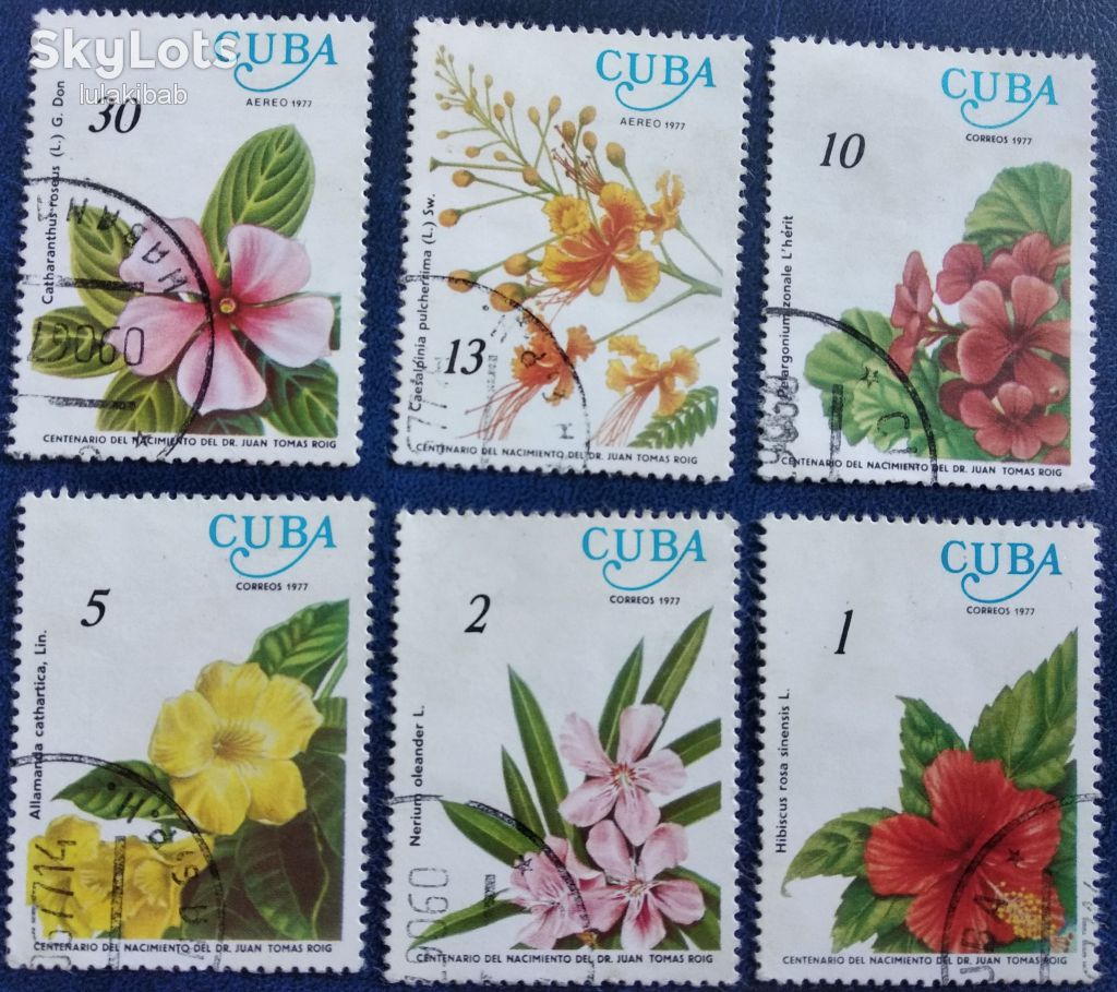 Куба 1977г. Цветы - фото фото фото 1