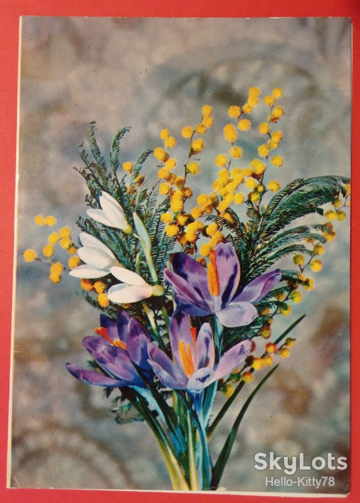 СССР 1982 флора цветы ПК 03 двойная - фото фото фото 0