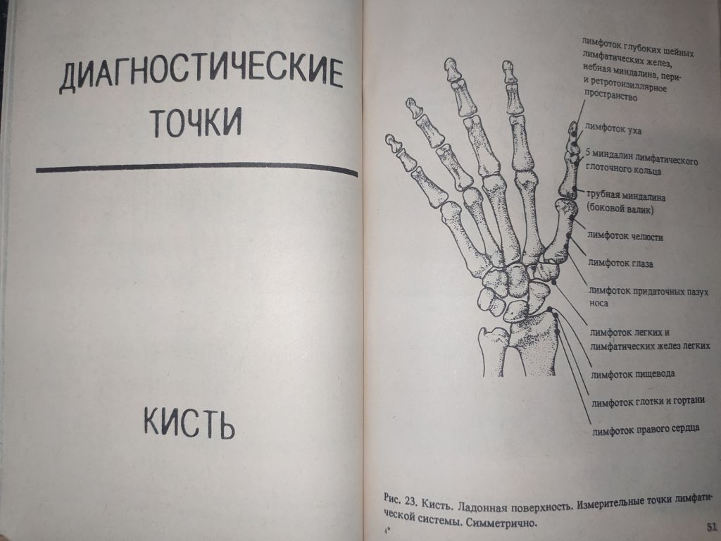 книга: ЭЛЕКТРОПУНКТУРНАЯ ДИАГНОСТИКА, ГОМЕОТЕРАПИЯ И ФЕНОМЕН ДАЛЬНОДЕЙСТВИЯ 1990г. - фото фото фото 3