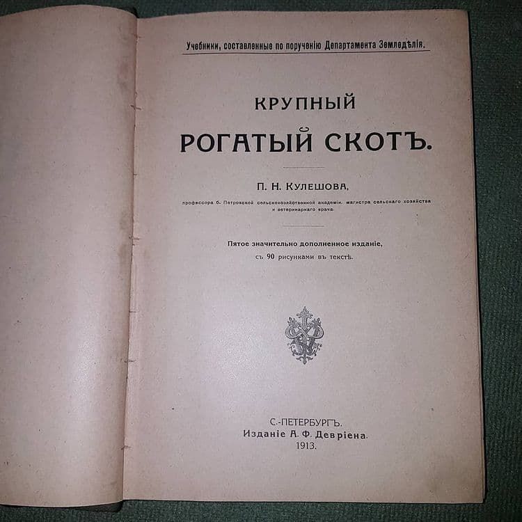 Крупный рогатый скот	Кулешов	1913 - фото фото фото 9