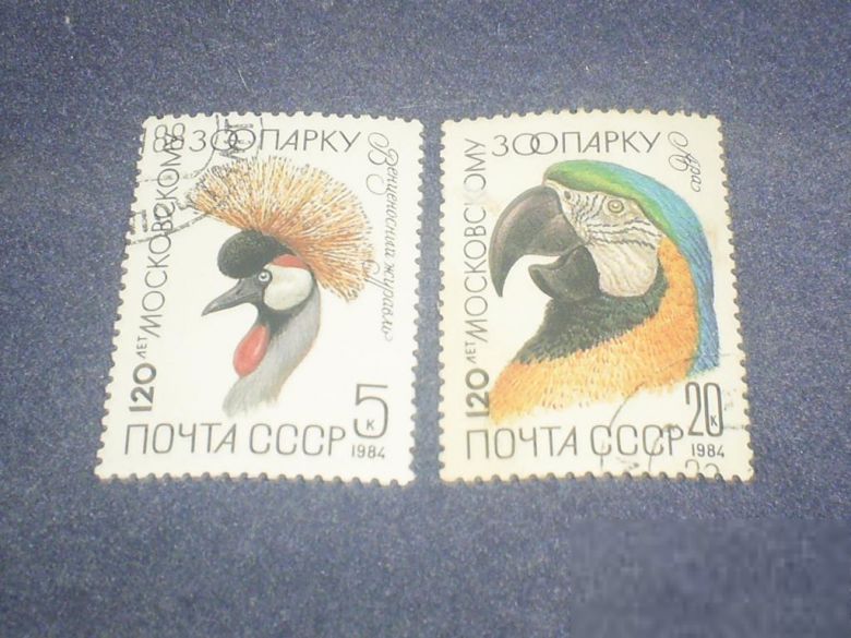 СССР-1984 г.-фауна - фото фото фото 0