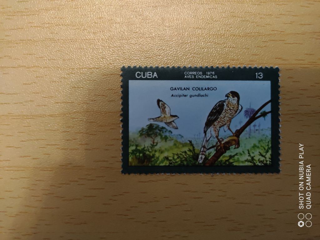 Почтовая марка Куба 1976 г. - фото фото фото 3