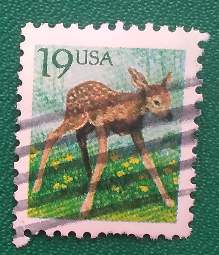 США 1991 г - Белохвостый олень  (Odocoileus virginianus), гаш - фото фото фото 0