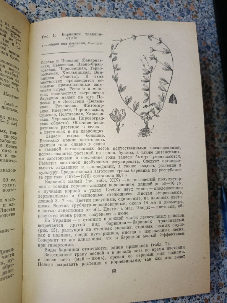Лекарственные растения Украины Ивашин Катина - фото фото фото 7