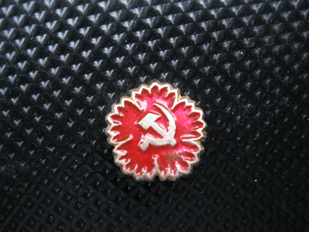 Гвоздика. СССР.      С 3 - фото фото фото 3
