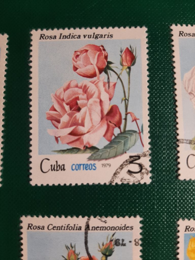 Марки Сuba correos rosa 1979  (розы, 6 шт) - фото фото фото 2