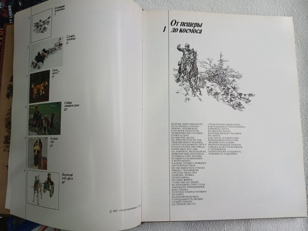 Наши верные друзья. Альбом. Авторы текста В.Г. Гусев, В.С. Нехаев. - фото фото фото 2
