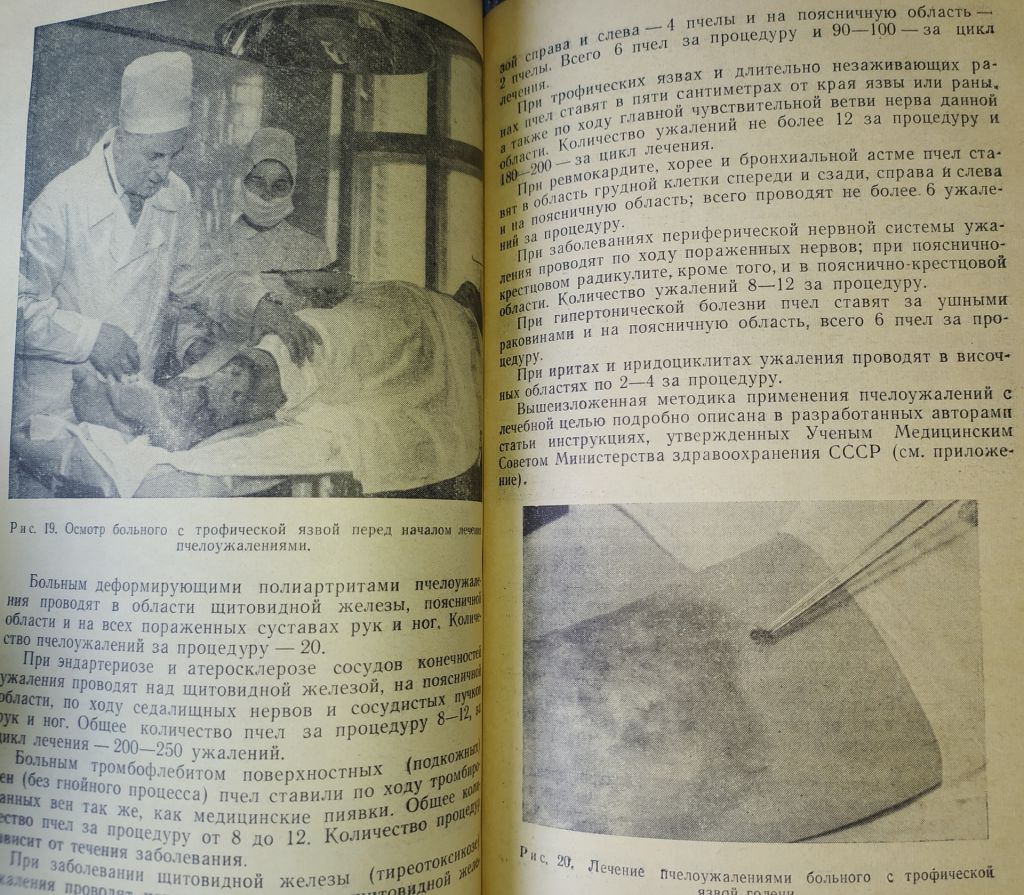 книга: ПЧЕЛА И ЗДОРОВЬЕ ЧЕЛОВЕКА II-e изд. 1964г. - фото фото фото 5