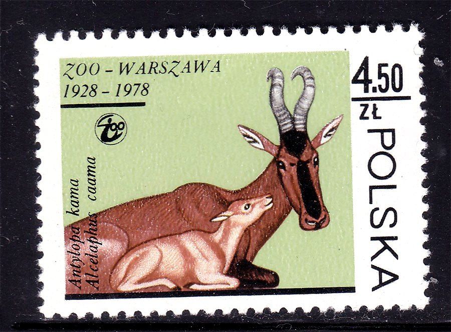 Фауна . Польша 1978 г  MNH  - - фото фото фото 0