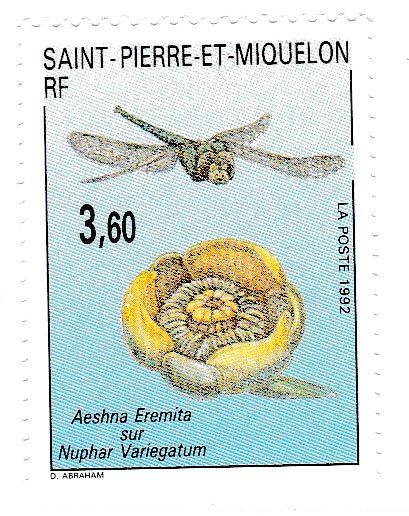 Фауна Сан Пьер и Микелон 1992 г MNH - стрекоза - фото фото фото 0