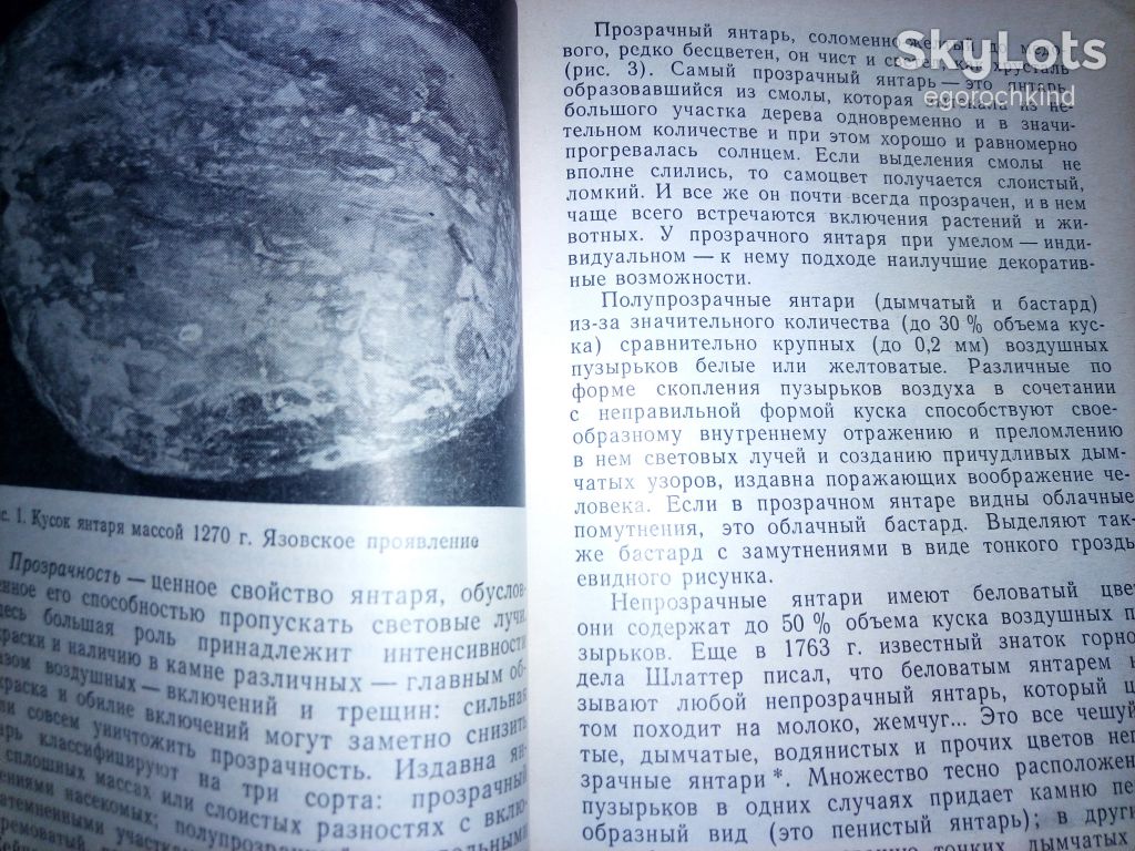 книга брошюра: МИР ЯНТАРЯ 1988г. - фото фото фото 3