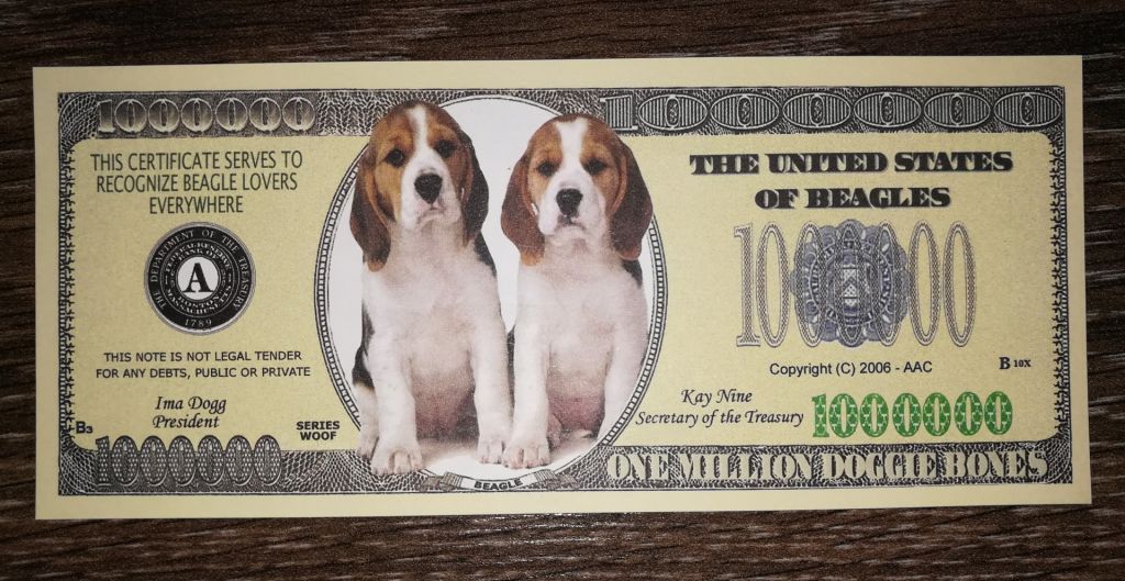 1000000 1 млн мільйон доларів 2006 біглі, США, сувенір - фото фото фото 0