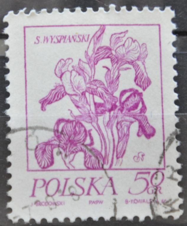 Польша Флора Цветы - фото фото фото 0