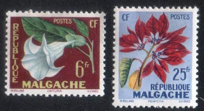 Мадагаскар   (1959) Цветы. Флора - фото фото фото 0