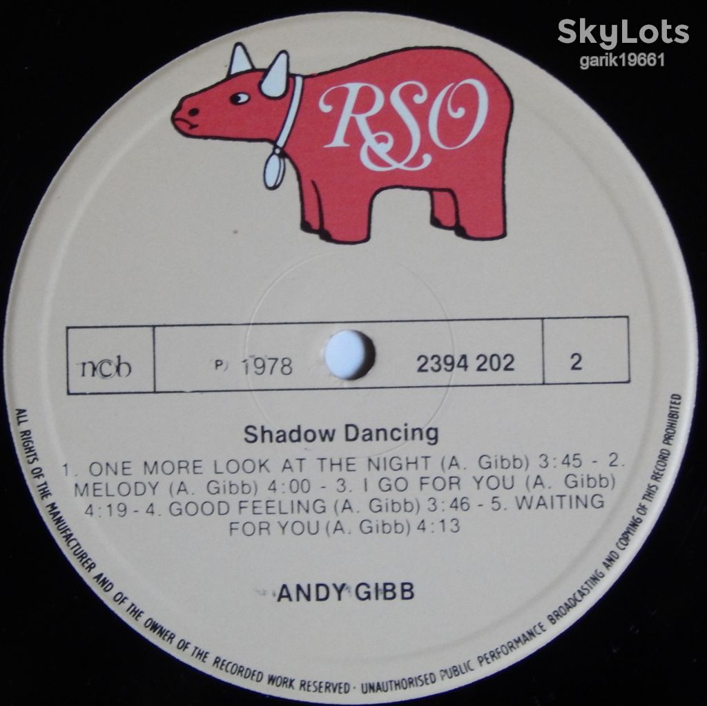 Andy Gibb – Shadow Dancing  (RSO – 2394 202, Scandinavia) EX+/NM- - фото фото фото 3
