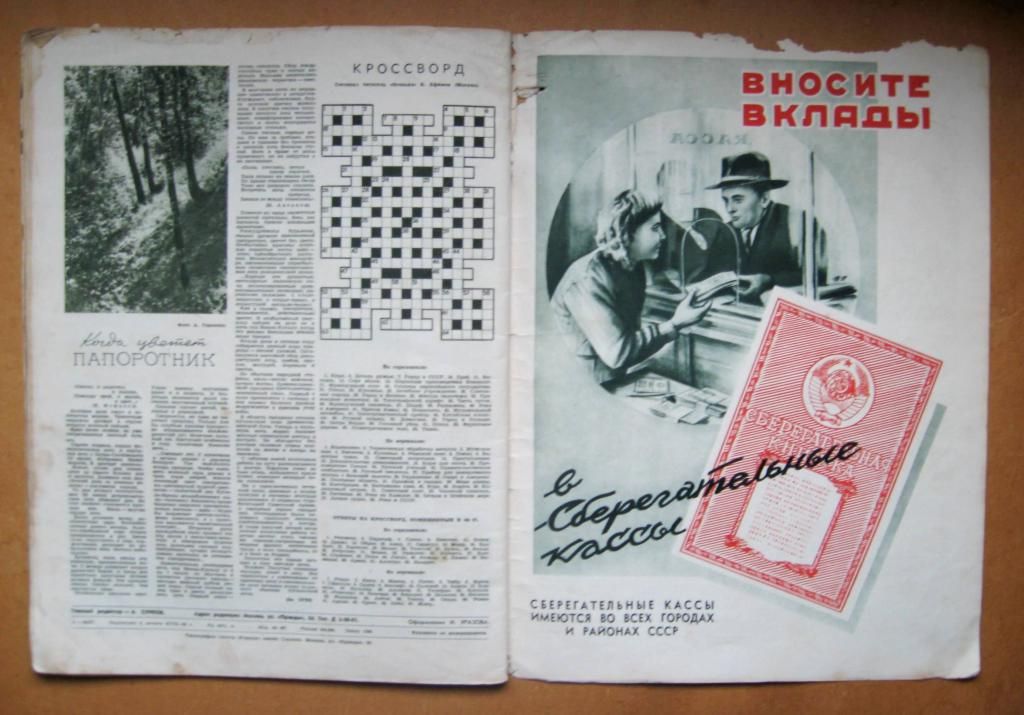 ЖУРНАЛ *ОГОНЕК* = июль 1948 г. - № 28 - фото фото фото 6