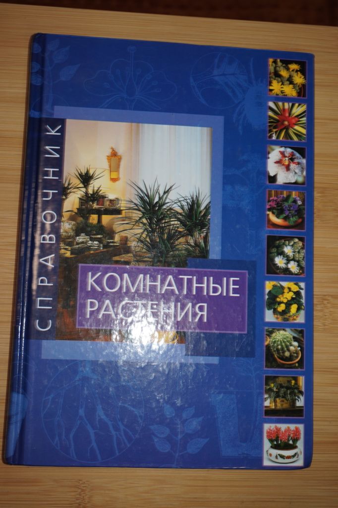 Комнатные растения. Мария Тереза. Делла Беффа. - фото фото фото 0