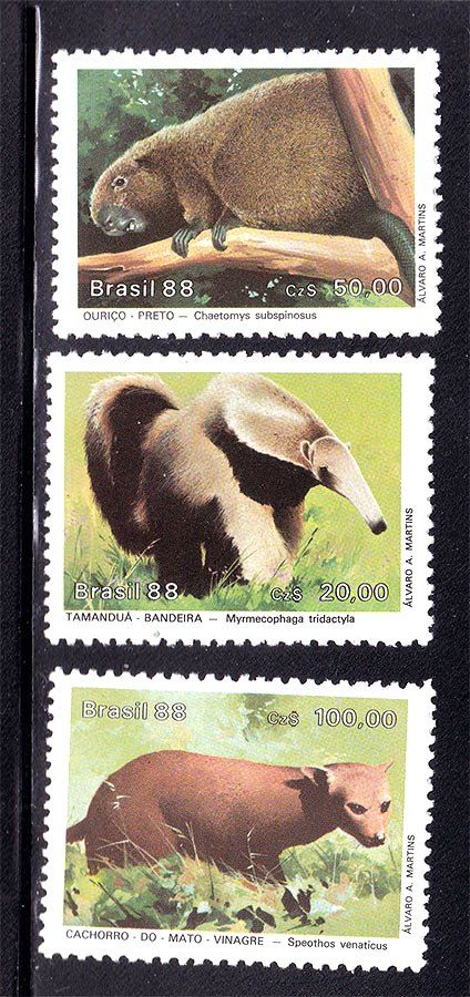 NM Бразилия  1988 г MNH - - фото фото фото 0