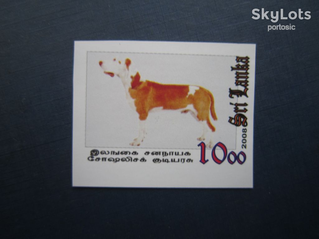 Марка Шрі-Ланка 2008 фауна собака мисливська MNH - фото фото фото 0