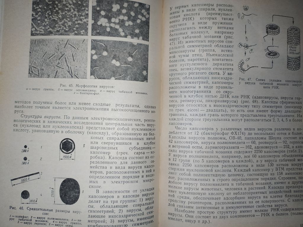 книга: ОСНОВЫ ОБЩЕЙ МИКРОБИОЛОГИИ, ВИРУСОЛОГИИ И ИММУНОЛОГИИ. II-е изд. 1977г. - фото фото фото 7