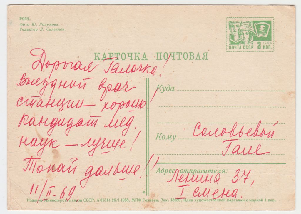 Роза Цветы 1968 Разумов Р11А - фото фото фото 1