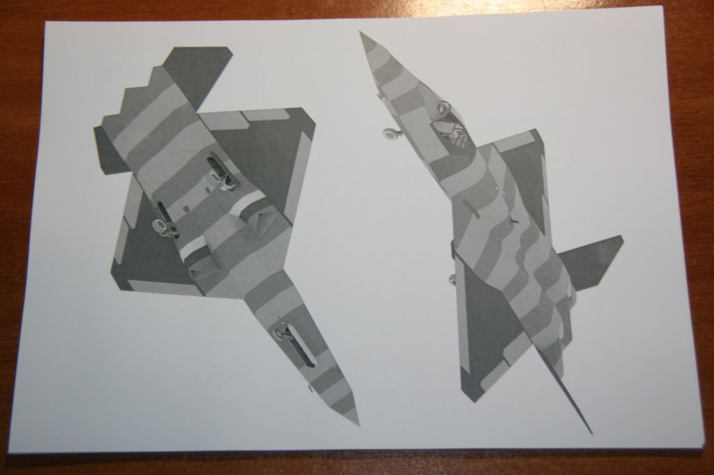 Northrop/McDonnell Douglas YF-23  (YG Model) [1:33] - фото фото фото 2