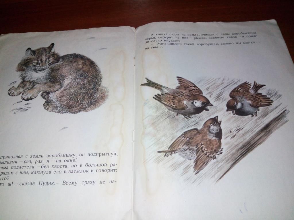 Горький ВОРОБЬИШКО  (Рисунки Е. Чарушина) - фото фото фото 4