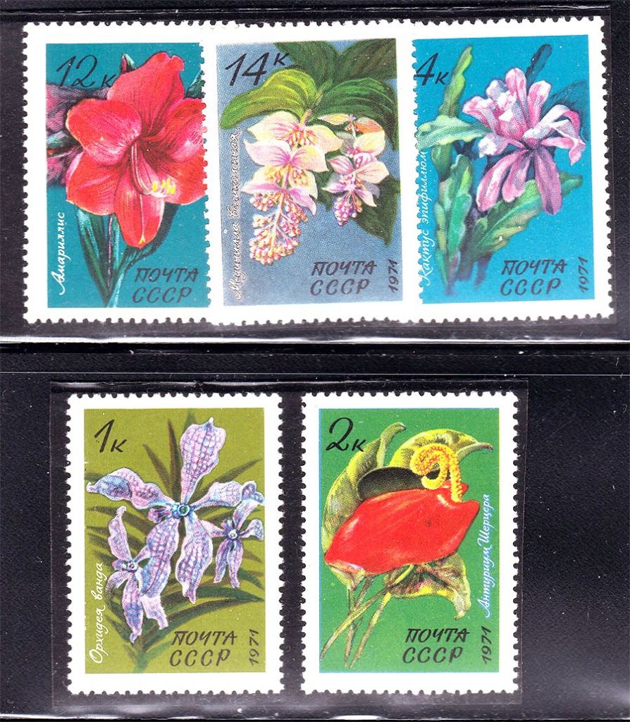 СССР 1971 г  MNH - флора - фото фото фото 0
