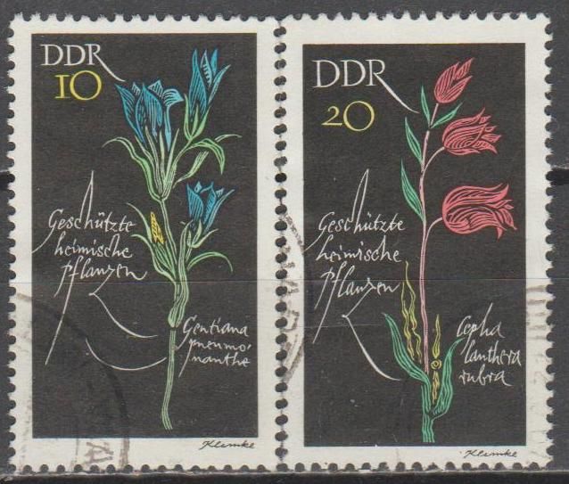 Германия Німеччина ГДР 1966 флора цветы - фото фото фото 0