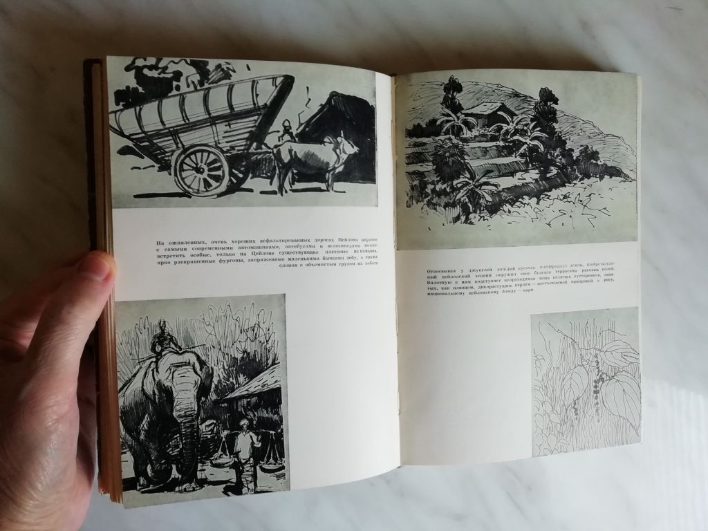 На суше и на море 1962 - фото фото фото 3