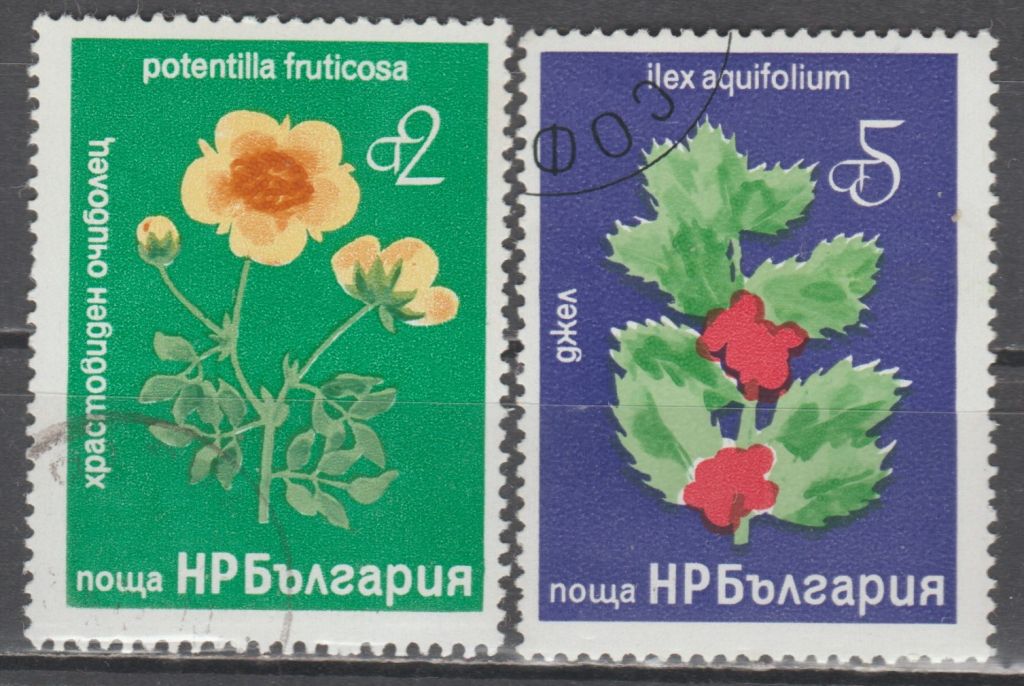 Болгария Болгарія 1976 флора цветы - фото фото фото 0