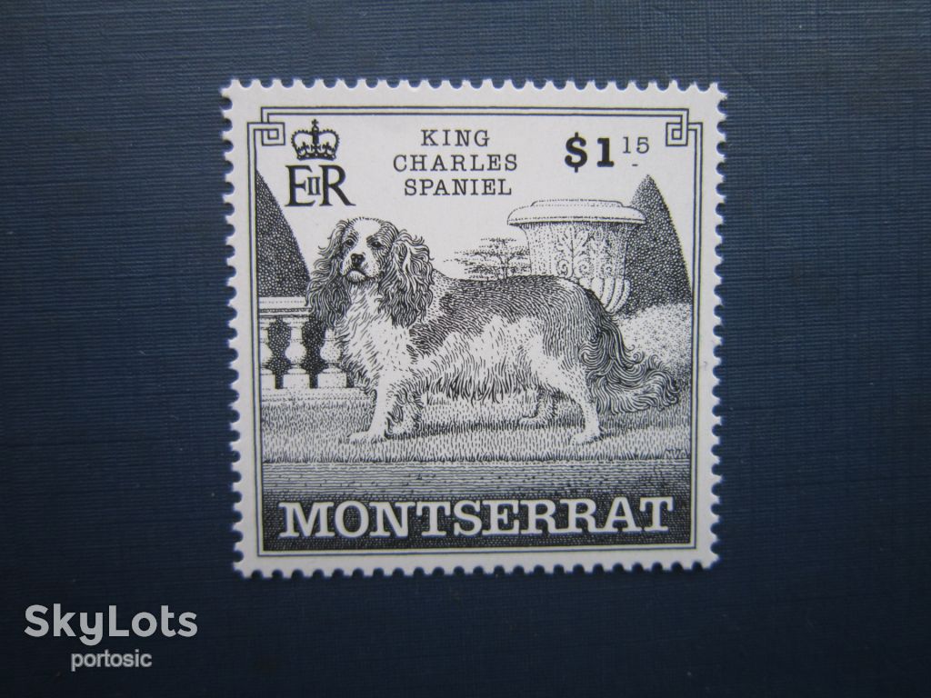Марка Монсеррат 1999 фауна собака кінг Чарльз спаніель MNH - фото фото фото 0