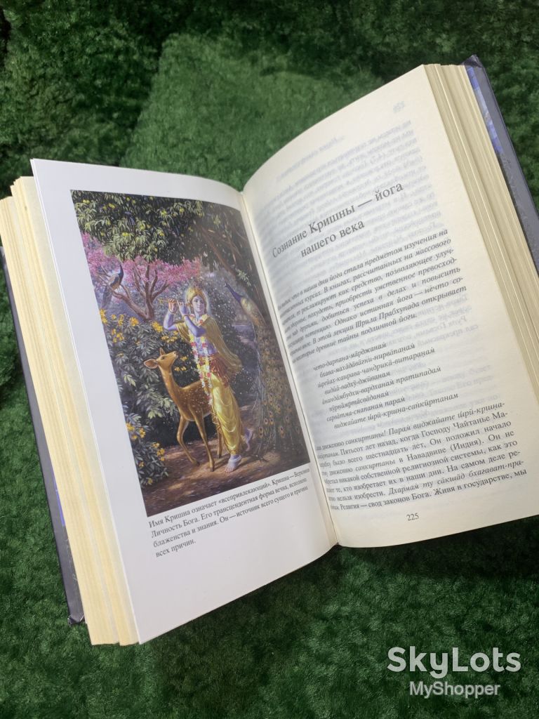 Книга «Наука самоосознания» А. Ч. Бхактиведанта Свами Прабхупада 2014 г.   (Н8159) - фото фото фото 6