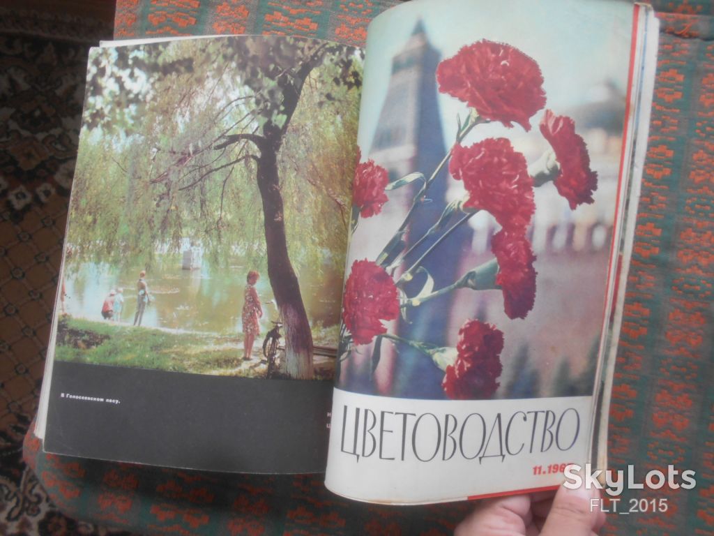 Цветоводство  1967 г.  Годовая - фото фото фото 11