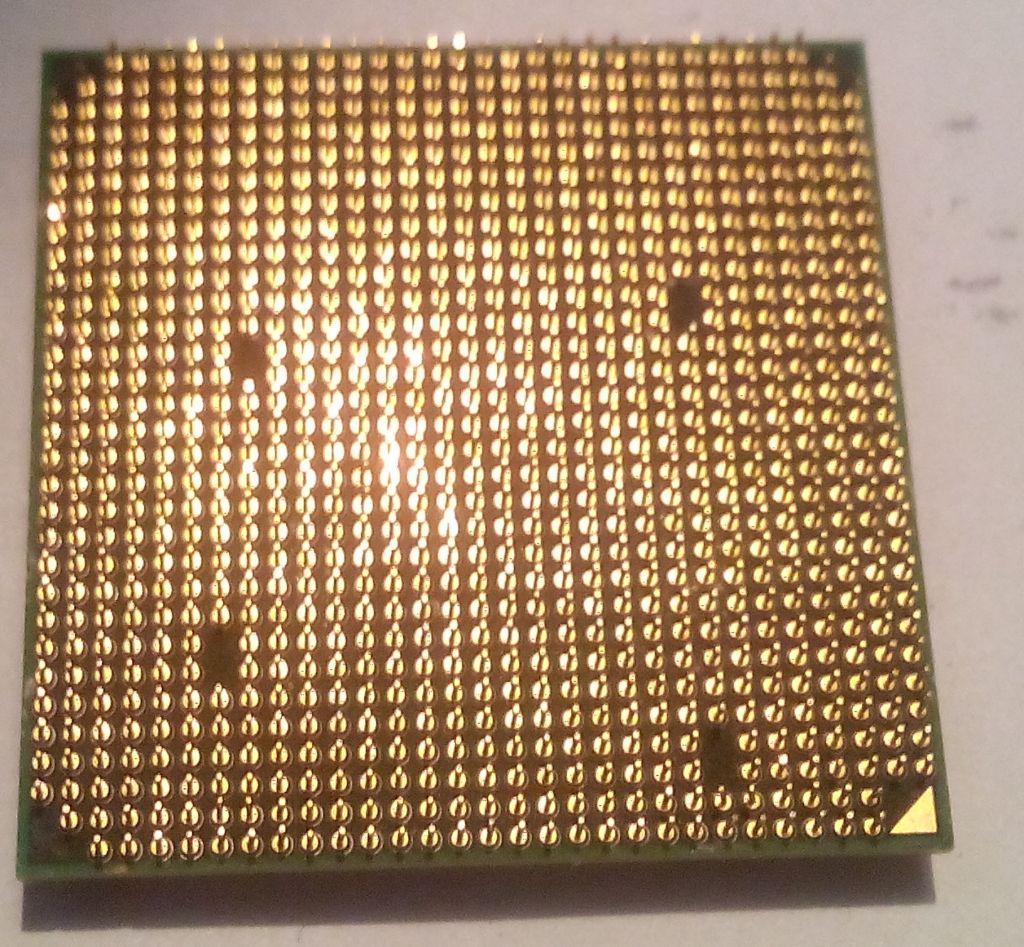 Процессор сокет AM2 AMD Sempron 64 LE-1100 SDH1100IAA3DE - фото фото фото 1
