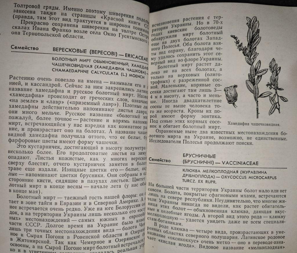 книги: ОХРАНЯЕМЫЕ РАСТЕНИЯ УКРАИНЫ 1983 - фото фото фото 4